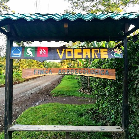 Vocare Finca Agroecologica Upala エクステリア 写真