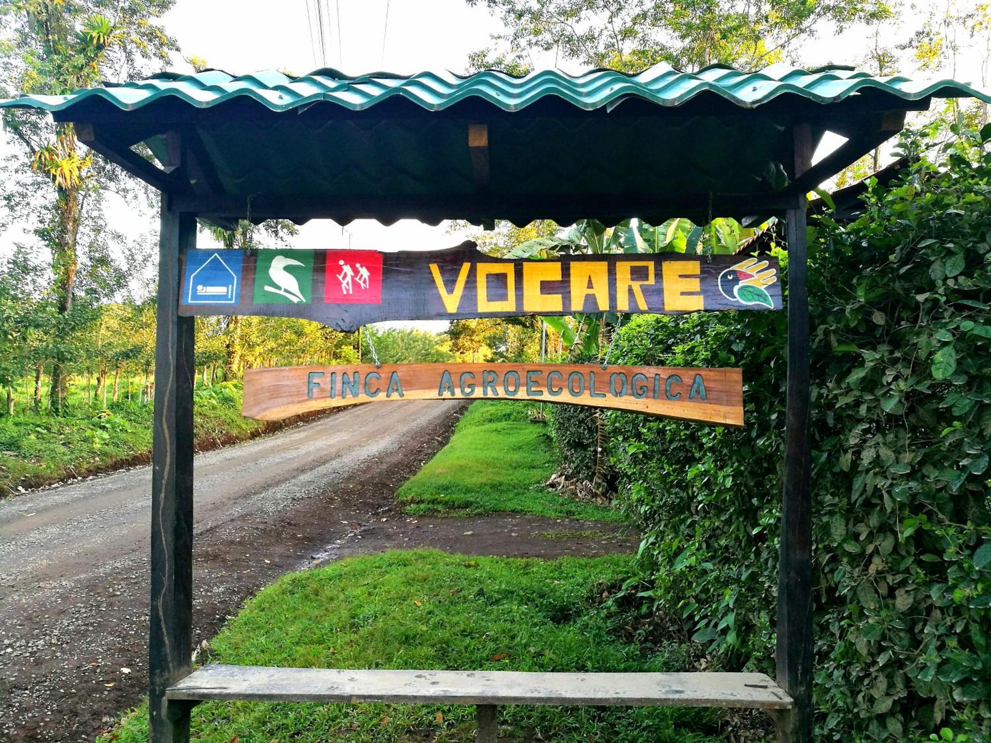 Vocare Finca Agroecologica Upala エクステリア 写真