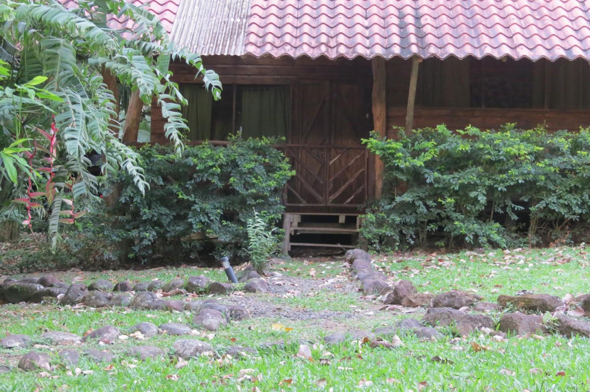 Vocare Finca Agroecologica Upala エクステリア 写真