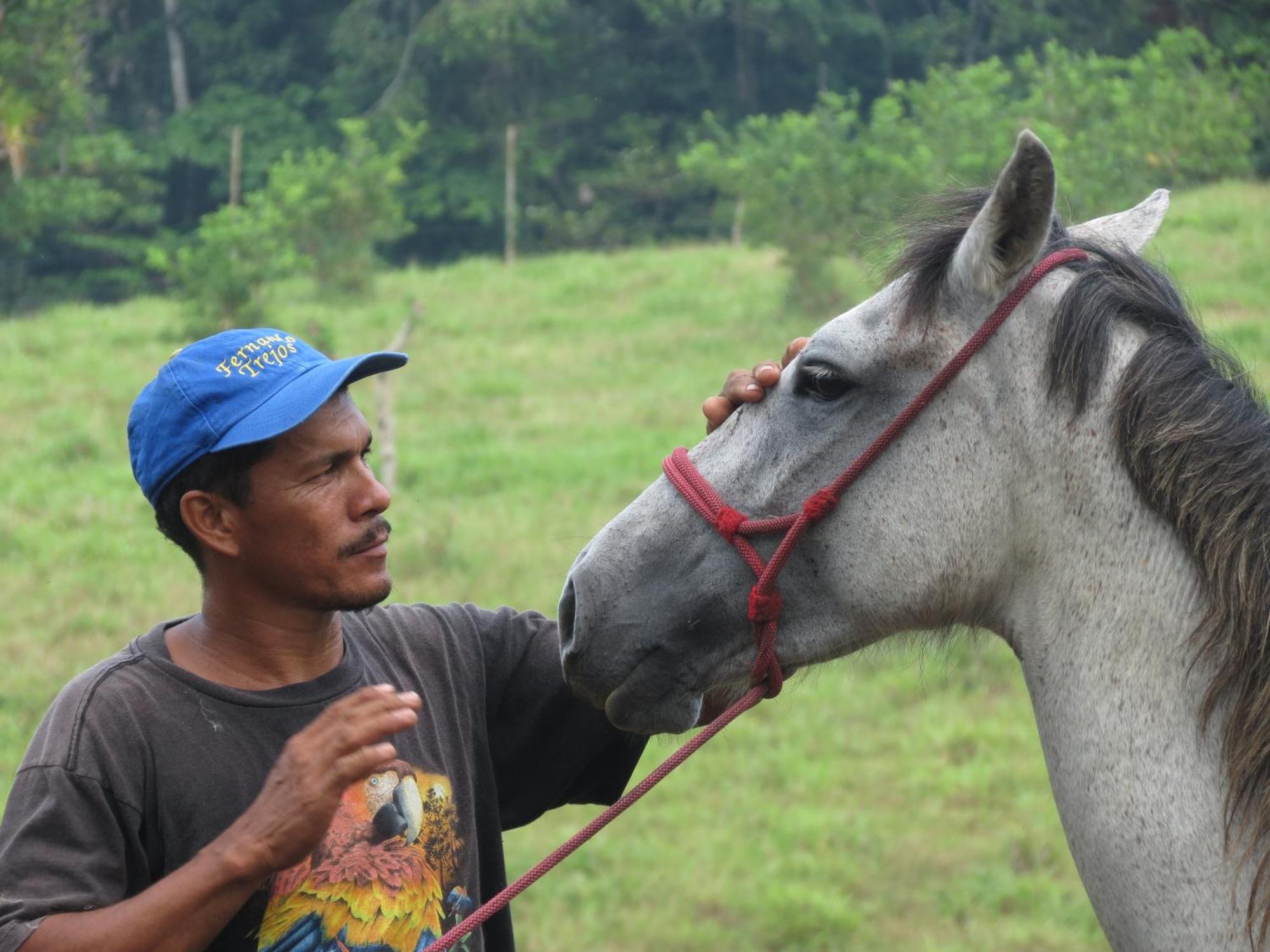Vocare Finca Agroecologica Upala エクステリア 写真