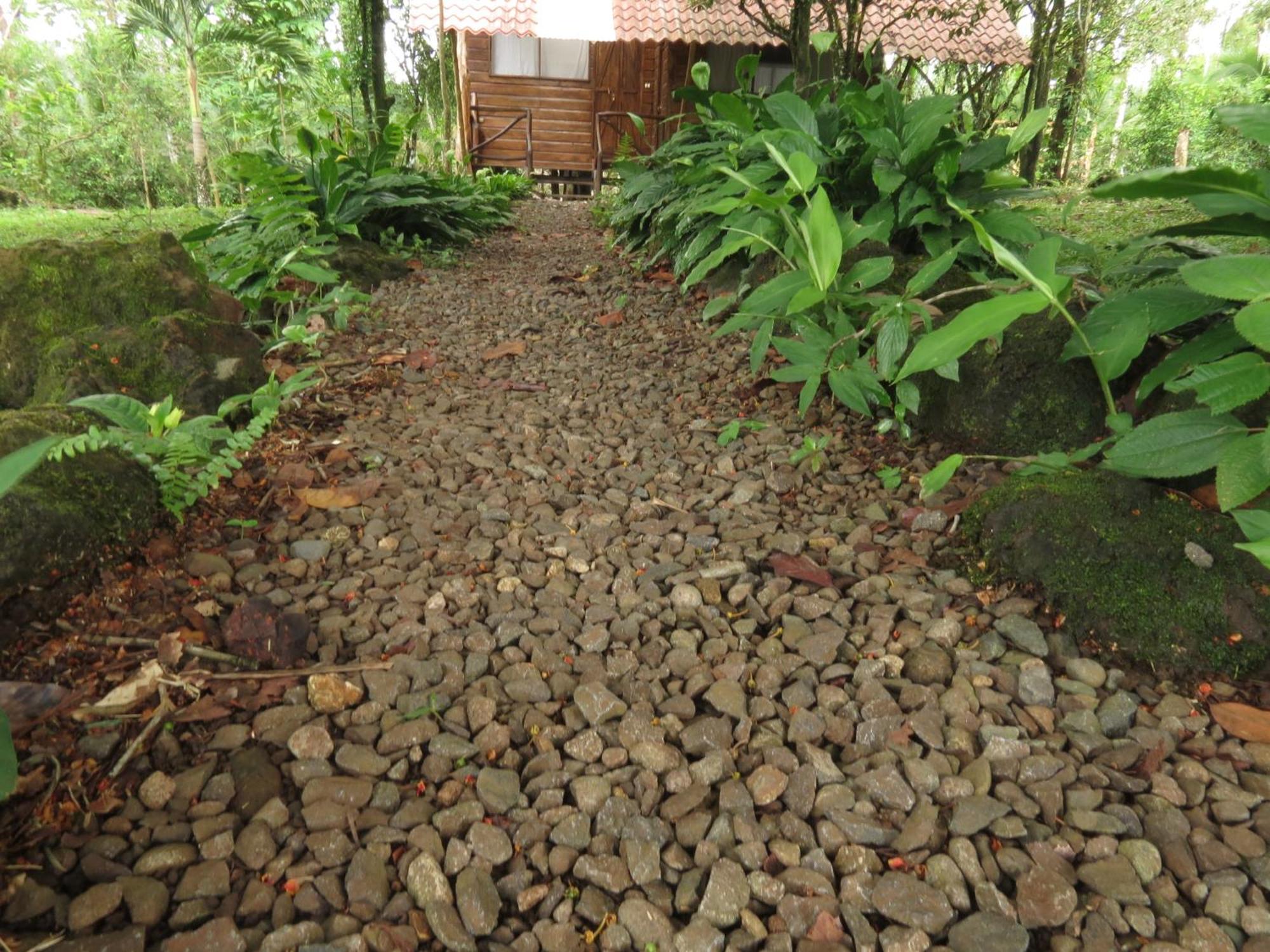 Vocare Finca Agroecologica Upala エクステリア 写真