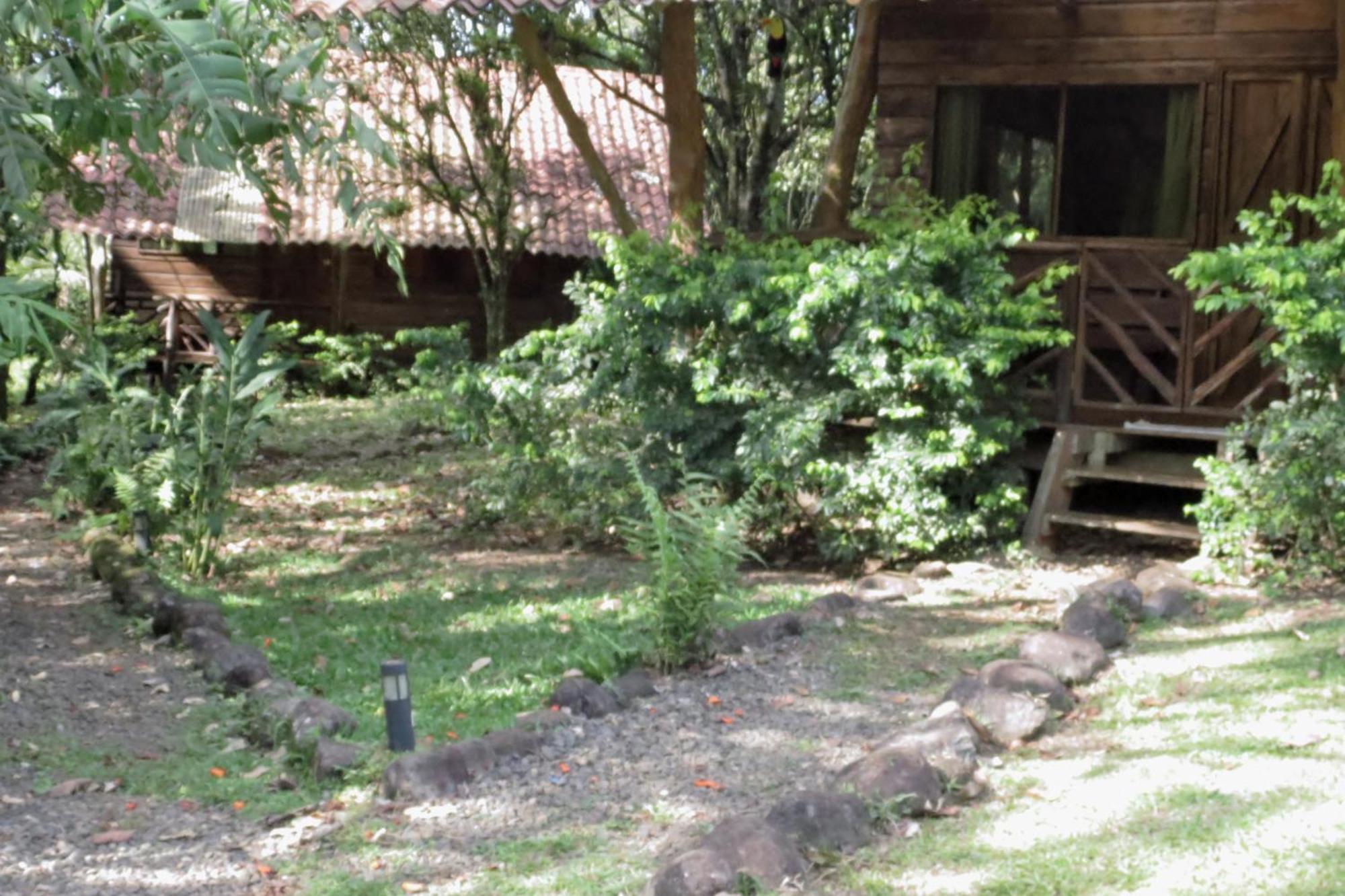 Vocare Finca Agroecologica Upala エクステリア 写真