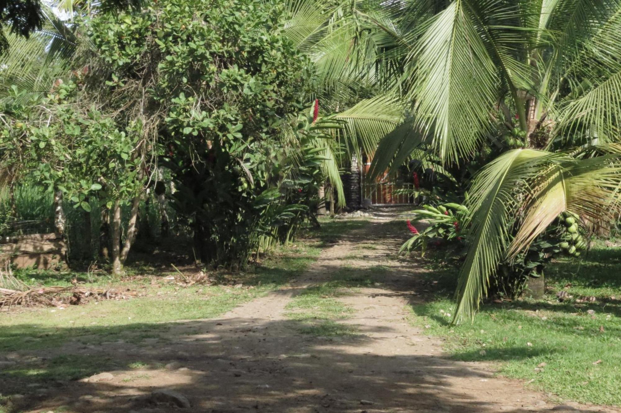 Vocare Finca Agroecologica Upala エクステリア 写真