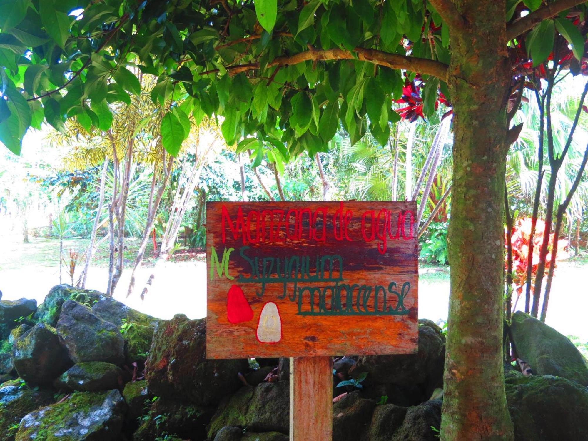 Vocare Finca Agroecologica Upala エクステリア 写真